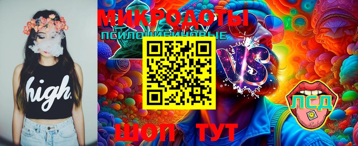 Псилоцибиновые грибы мухоморы Тихвин