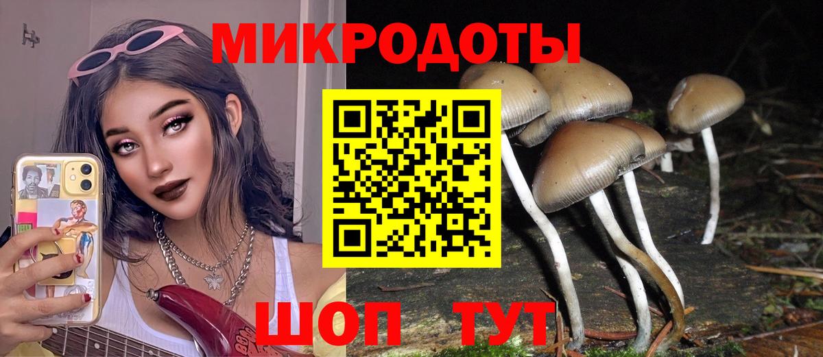Галлюциногенные грибы Cubensis  Вход с VPN  закладки  Галлюциногенные грибы MAGIC MUSHROOMS  Тихвин 